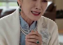 【风归故里深情已逝】72集短剧免费高清观看