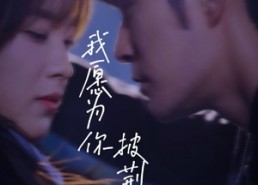 【我愿为你披荆斩棘】88集短剧在线免费畅看