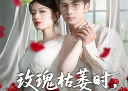 【玫瑰枯萎时你才说爱我】100集免费在线短剧高清看