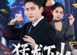 【猛龙下山】75集短剧全集在线免费播放