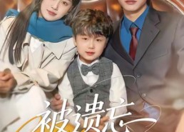 【被遗忘的璀璨】80集短剧在线免费观看