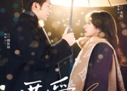 【雾散之后是晴】30集短剧在线免费全集享