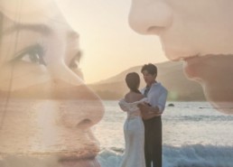 【玫瑰娇藏】50集免费短剧资源在线观看