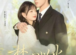 【焚心以火】72集短剧全集在线免费看