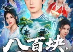 【八百块，买了个修真界】80集短剧全集在线速看