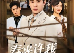 【春光许我再少年】79集短剧在线免费高清速看