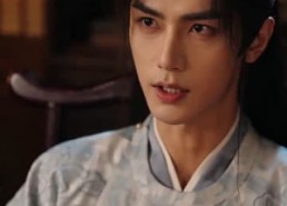 【窥心盲妃】49集短剧在线免费追看
