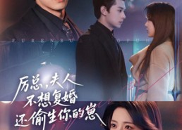 【厉总，夫人不想复婚还偷生你的崽】80集短剧在线免费全集速览