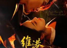 【港城回响】106集短剧免费在线全集览观