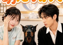 【萌宠守护人】51集短剧全集免费在线追剧