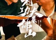 【有功夫来佛山】12集免费全集短剧在线观