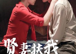 【贤妻扶我凌云志】71集短剧免费畅快观