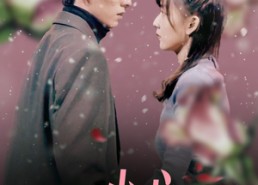 【一不小心捡到爱】85集短剧全集在线尽情看