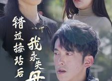 【错过接站后我永失母爱】31集短剧免费在线全集畅看