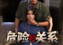 【危险的关系】55集免费短剧在线观映