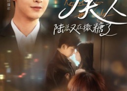 【报告夫人陆总又在撒糖了】69集短剧免费在线看全集