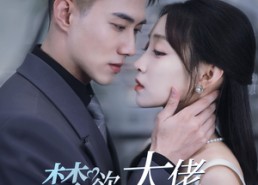 【禁欲大佬爆宠三胎孕妻】60集短剧在线免费观看全集