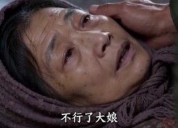 【全村笑我修猪圈，暴雪来临我当家】54集短剧免费全集在线畅看