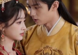 【朕的铁手爱妃】58集短剧免费全集畅看