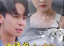 【得绝症后才知劳燕分飞】31集短剧免费畅享全集