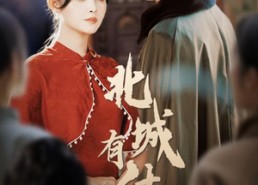 【北城有佳人】59集短剧在线免费观全集