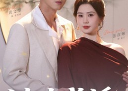【错嫁成婚】104集高清短剧免费完整观看