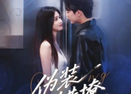 【伪装错撩】62集在线短剧免费畅观