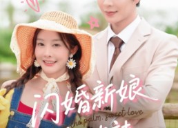 【闪婚新娘超泼辣】65集短剧免费全集尽情看