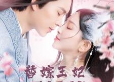 【替嫁王妃不好惹】42集短剧免费在线完整看