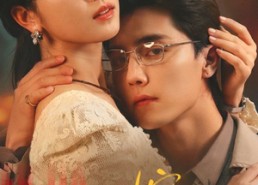 【二嫁】67集短剧免费在线完整播放