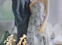 【爱在陌上花开时】100集短剧全集随心看