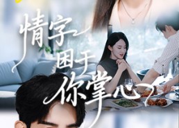 【情字困于你掌心】62集在线免费看短剧全集