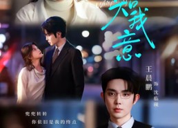【泠风知我意】80集精彩短剧免费在线追看
