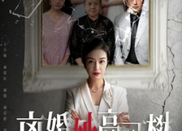 【至亲之人伤我最深】67集高清短剧完整版在线看