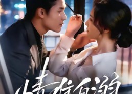 【情难自溺】80集短剧全集完整版在线看