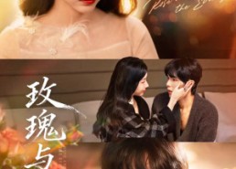 【玫瑰与恶犬】80集精彩短剧免费在线追