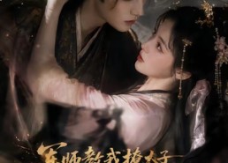 【军师教我撩太子但他是太子本尊】65集短剧在线免费畅享全集