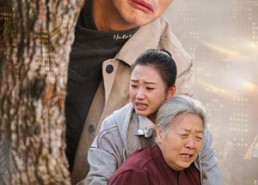 【物是人非事事休】41集全集短剧在线免费观