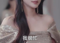 【休夫后惊艳全球】59集短剧免费在线赏览