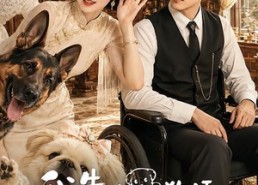 【我靠翻译狗语，成了装残大佬的心尖宠】80集短剧免费在线赏映