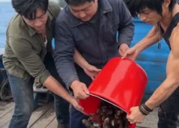 【青竹竿】80集短剧免费在线高清播