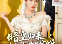 【暗皇归来，未婚夫噤若寒蝉】65集免费短剧在线追看