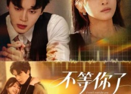 【不等你了】60集高清短剧免费全集观看