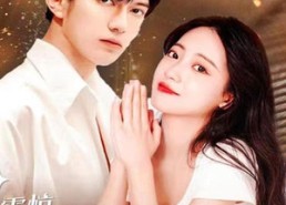 【震惊！我的赘婿老公竟是帝豪总裁】100集短剧全集在线直看