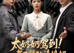 【太奶奶驾到！孝子贤孙请接招】90集短剧免费在线全集赏