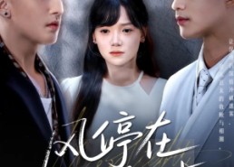 【风停在转身时】72集短剧全集免费在线细看