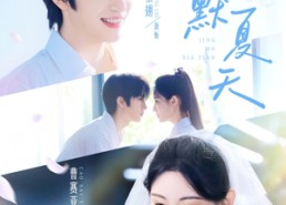 【静默夏天】60集短剧高清全集在线观览