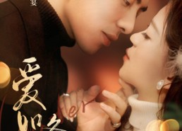 【爱如冬焰$爱如冬日焰火】71集短剧免费在线探看