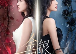 【金银双姝】80集短剧高清全集在线免费看