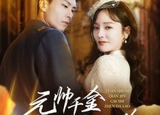 【元帅千金才是真大佬】99集短剧免费全集观享